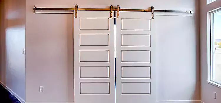 Glass Barn Door with Installation Hardware Kit Plainfield