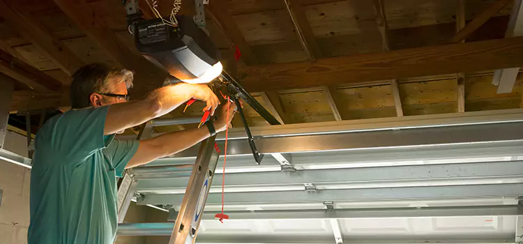 Garage Door Opener Sales and Installation Plainfield
