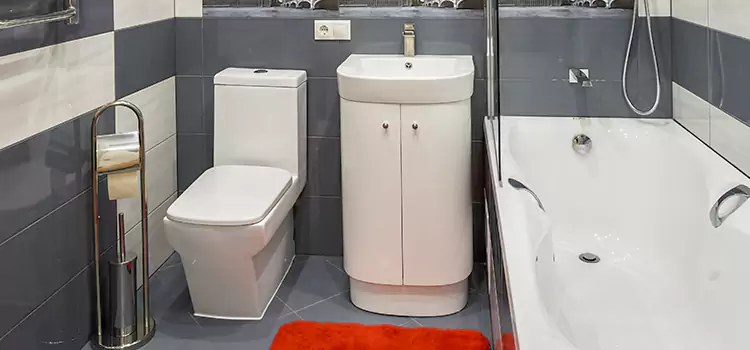 Hansgrohe Shaving Mirror Plainfield